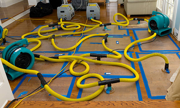 Professional Storm Water Damage Restoration technician working in Alexandria, AL